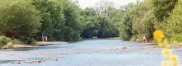 Photo of a portion of the river