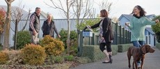 neighbours