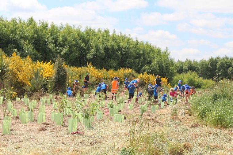 Community planting