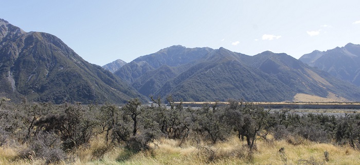High country scene