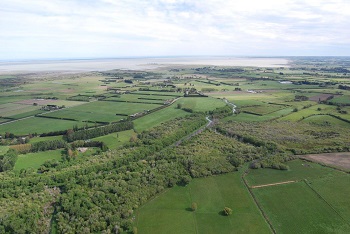 Tārerekautuku Yarrs Lagoon