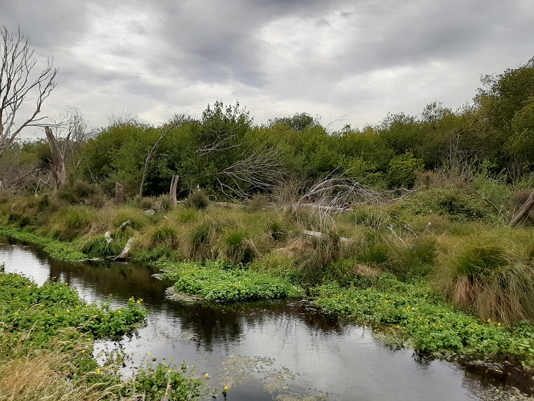 Yarrs Lagoon