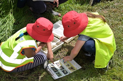 Children monitoring aquatic invertebrates children monitoring aquatic invertebrates