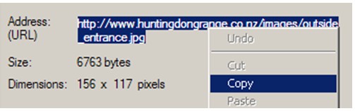 Copy the image URL