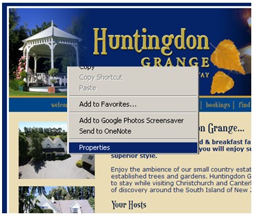 Right-click the image on your website and choose Properties