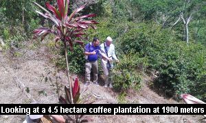 photo-11