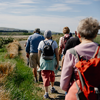 A group of senior people going on a walking through a green landscape
