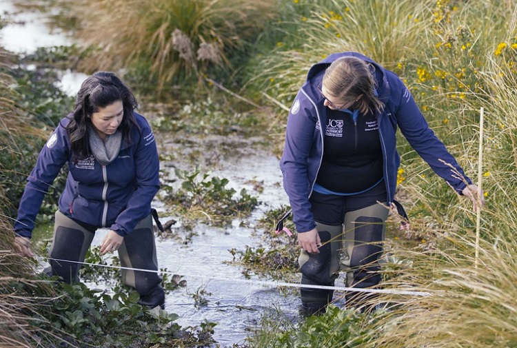 Two women, one dark haired, one blonde, in water proof trousers and blue University of Canterbury jackets stand in a narrow water way measuring it from one side to the other with a tape measure