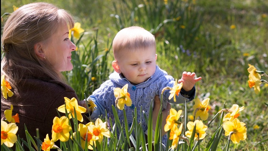 A mother and baby play in a field of daffodils