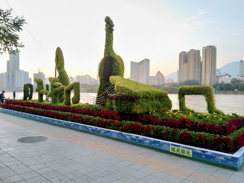 Topiary hedge display in the shape of musical instruments next to the Yellow River