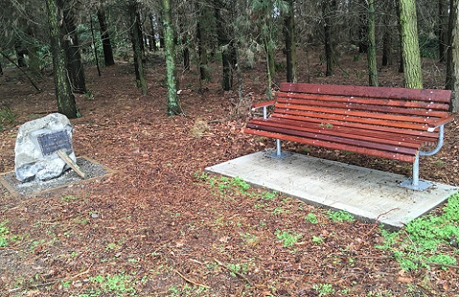A plaque and a park bench set among some pine trees