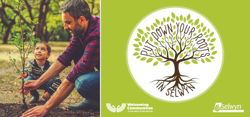 Poster image with young man planting a tree and a logo of a hand drawn tree with the words put down your roots in Selwyn