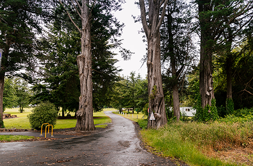 Two pine tree at entrance to holiday park