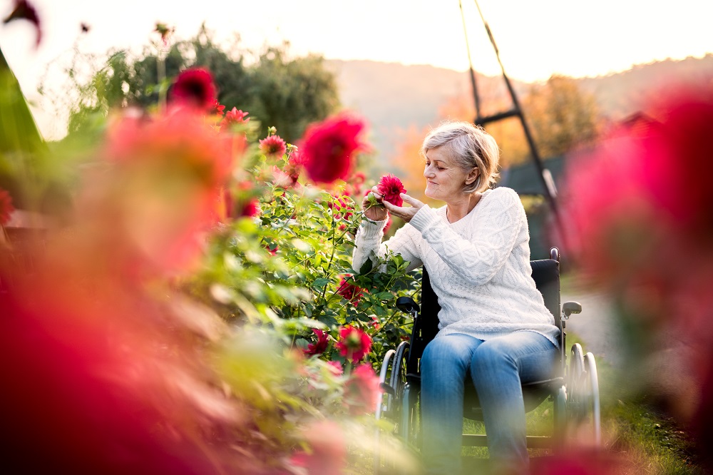 A woman in a wheelchair smelling flowers from a raised flower bed