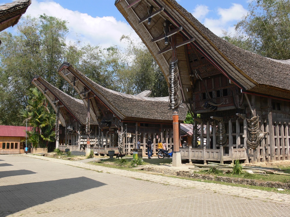 Traditional long houses in Tojara Indonesia