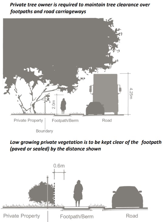 Diagram with tree clearance