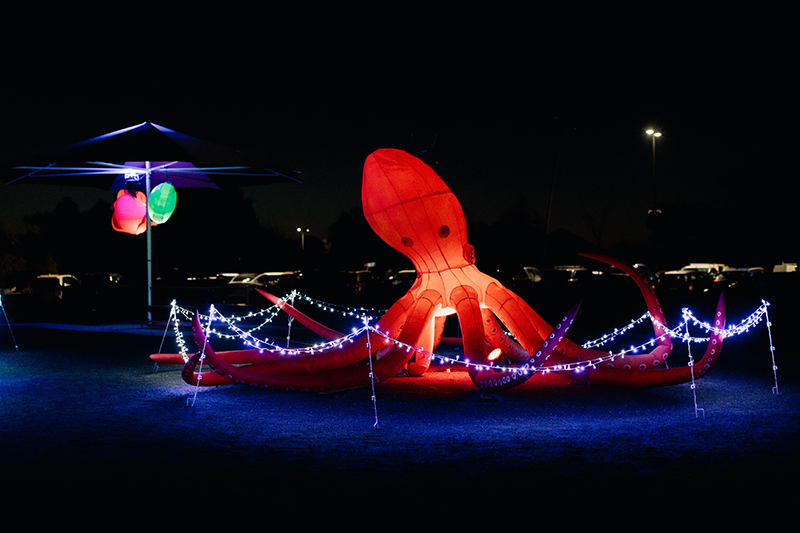 light up octopus