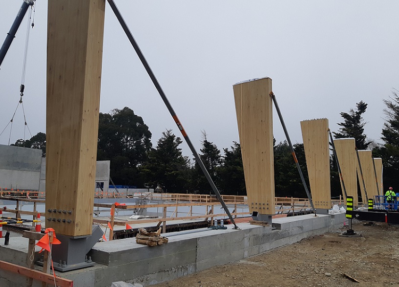 Work site showing a line of spaced out tall wooden wall pillars along one side