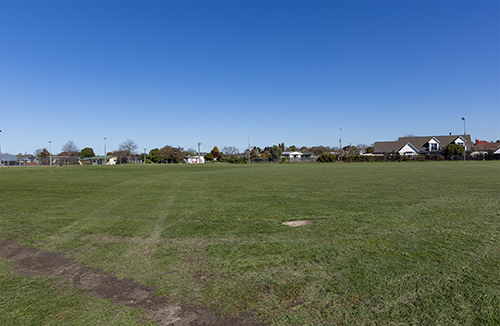 Grassy field