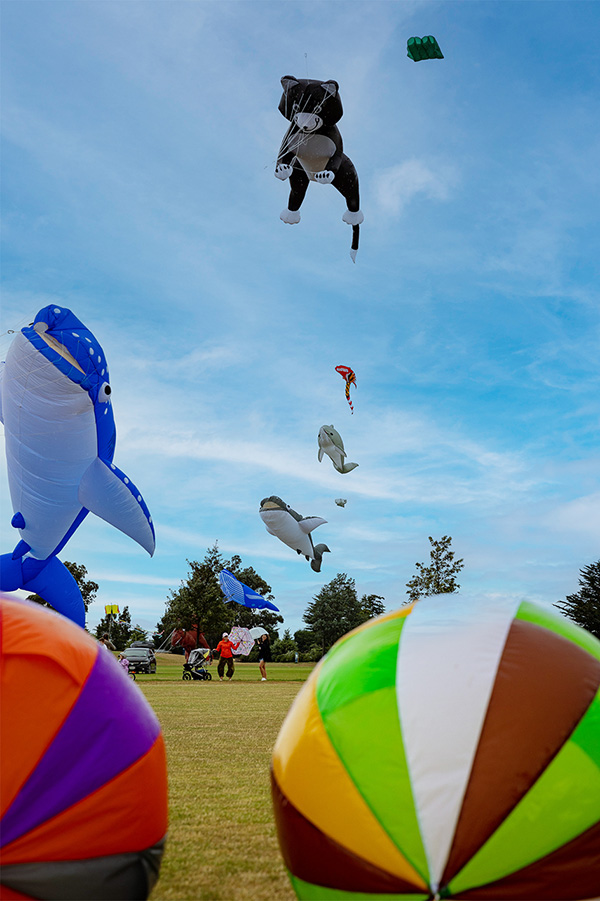 colourful kites fly high in a sunny cloud sky