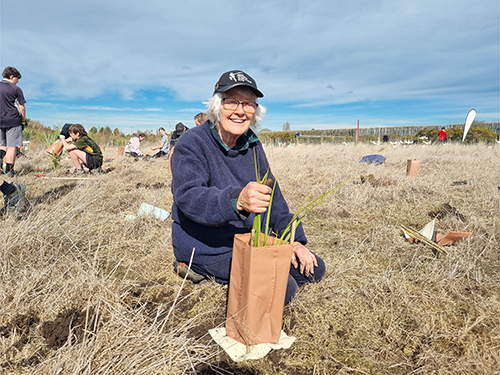 woman wearing hat holding freshly planted plant