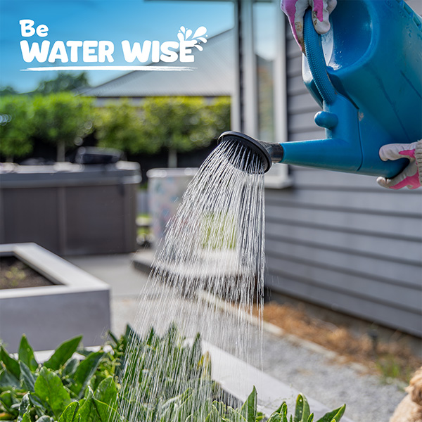 Watering can watering gardeb