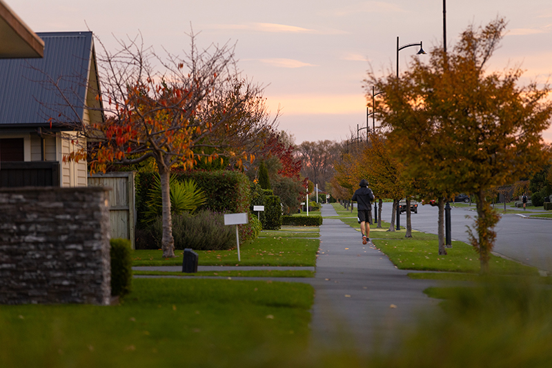 Autumnal trees surround pathway and houses with runner