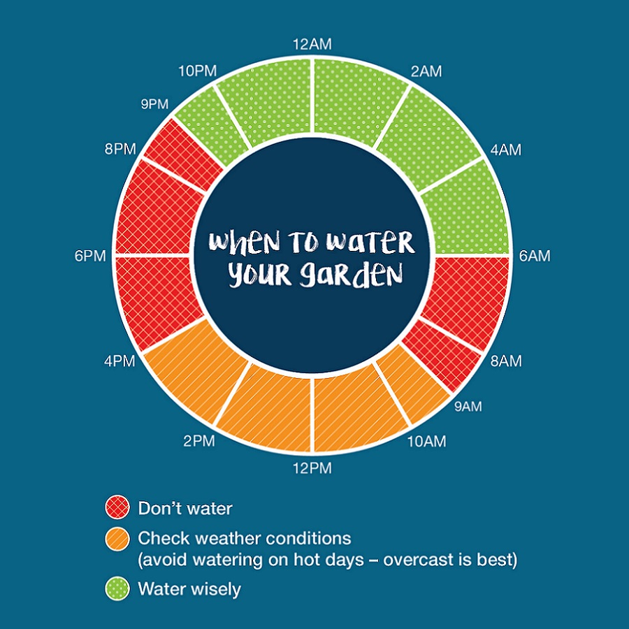 A coloured circle with times around the outside, indicating the best times to water. 6am to 9.30am and 4pm to 9om do not water, 9.30pm to 6am water, 9am to 4pm check weather conditions avoid watering on hot or windy days   