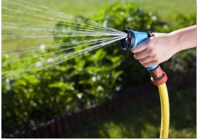 Hose
