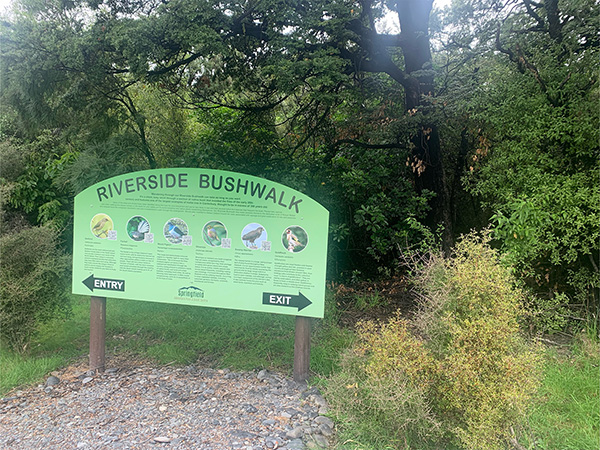 information board next to matai tree