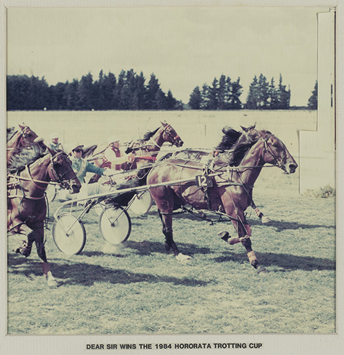 horses trotting with riders in carriages 1984 in Hororata
