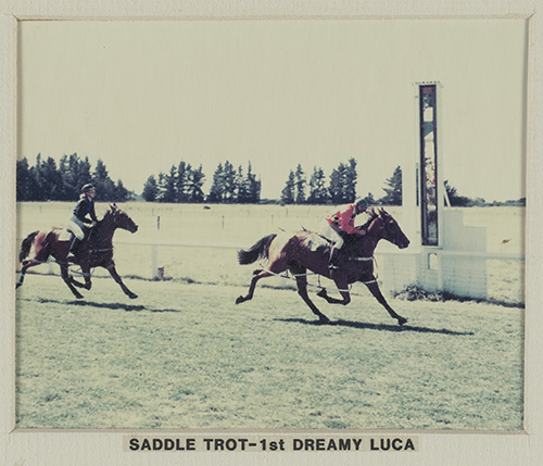 two horses trotting with riders on their backs