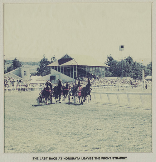 a group of horses racing at the last race in Hororata
