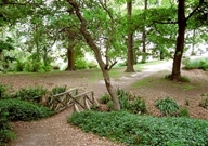 Liffey-reserve