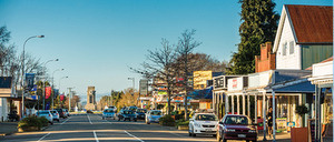 Photo Leeston main street