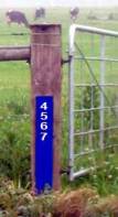 New correct rapid number