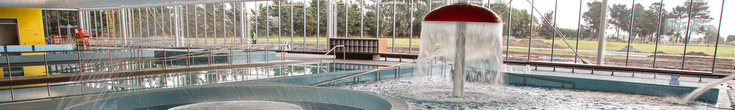 Pool and mushroom