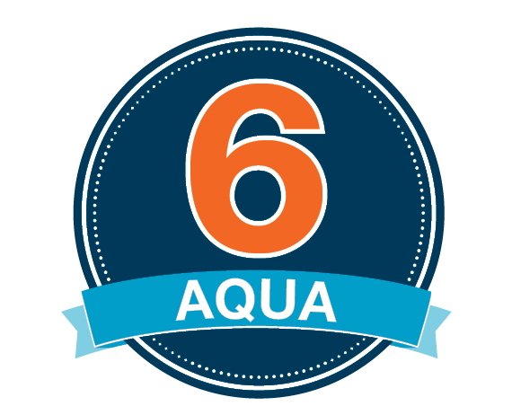 6