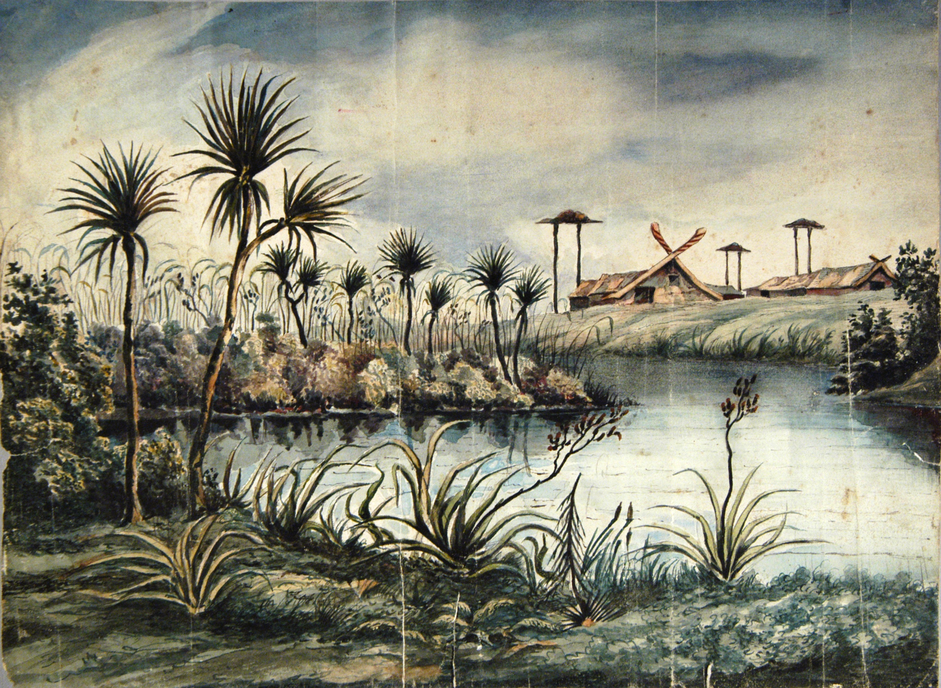 Scene on the Horotueka