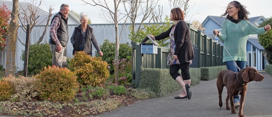Neighbours in a street