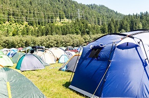 Tents surrounded by trees