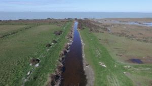 Osborne_Drain