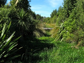 Stormwater-Picture