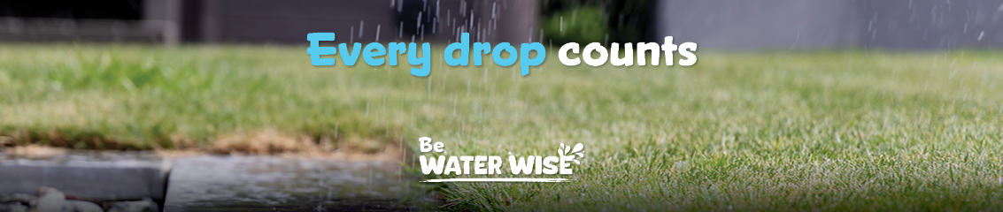 Save water this summer