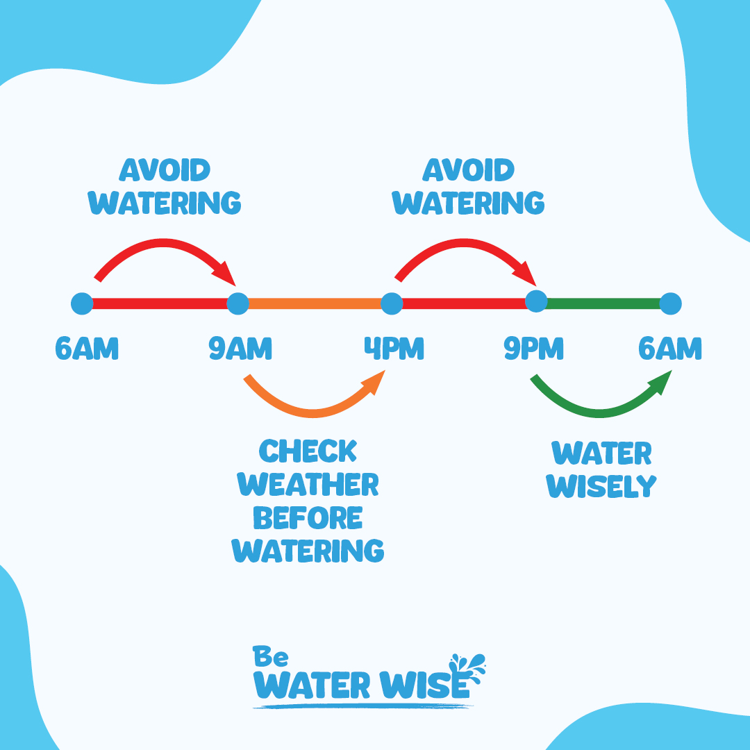 When to water your garden